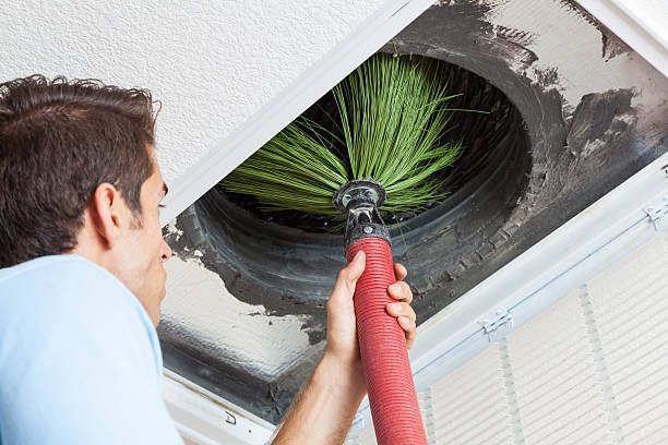 Best Duct Cleaning for Offices  in Bernie, MO